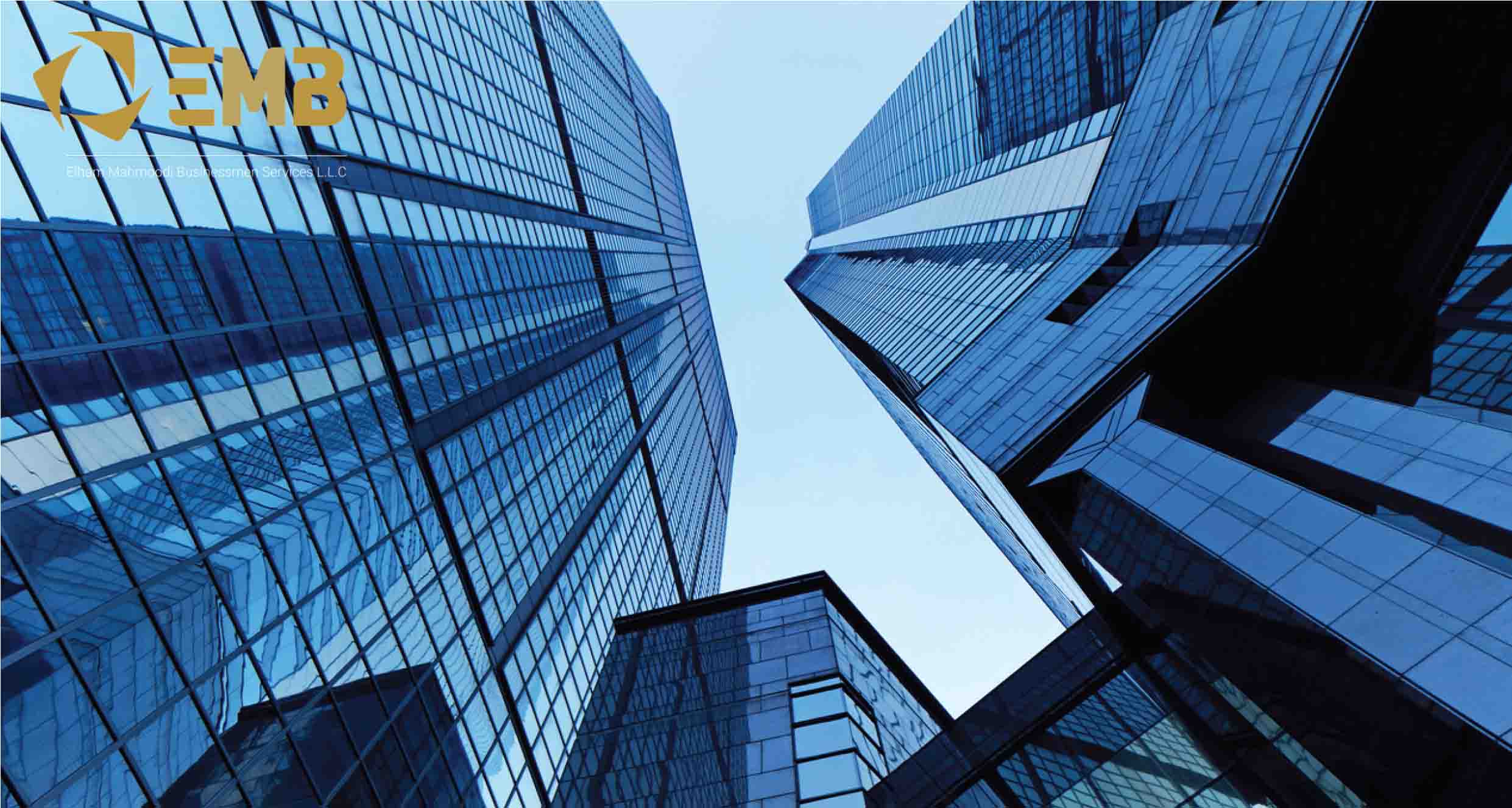 EM company profile.pdf