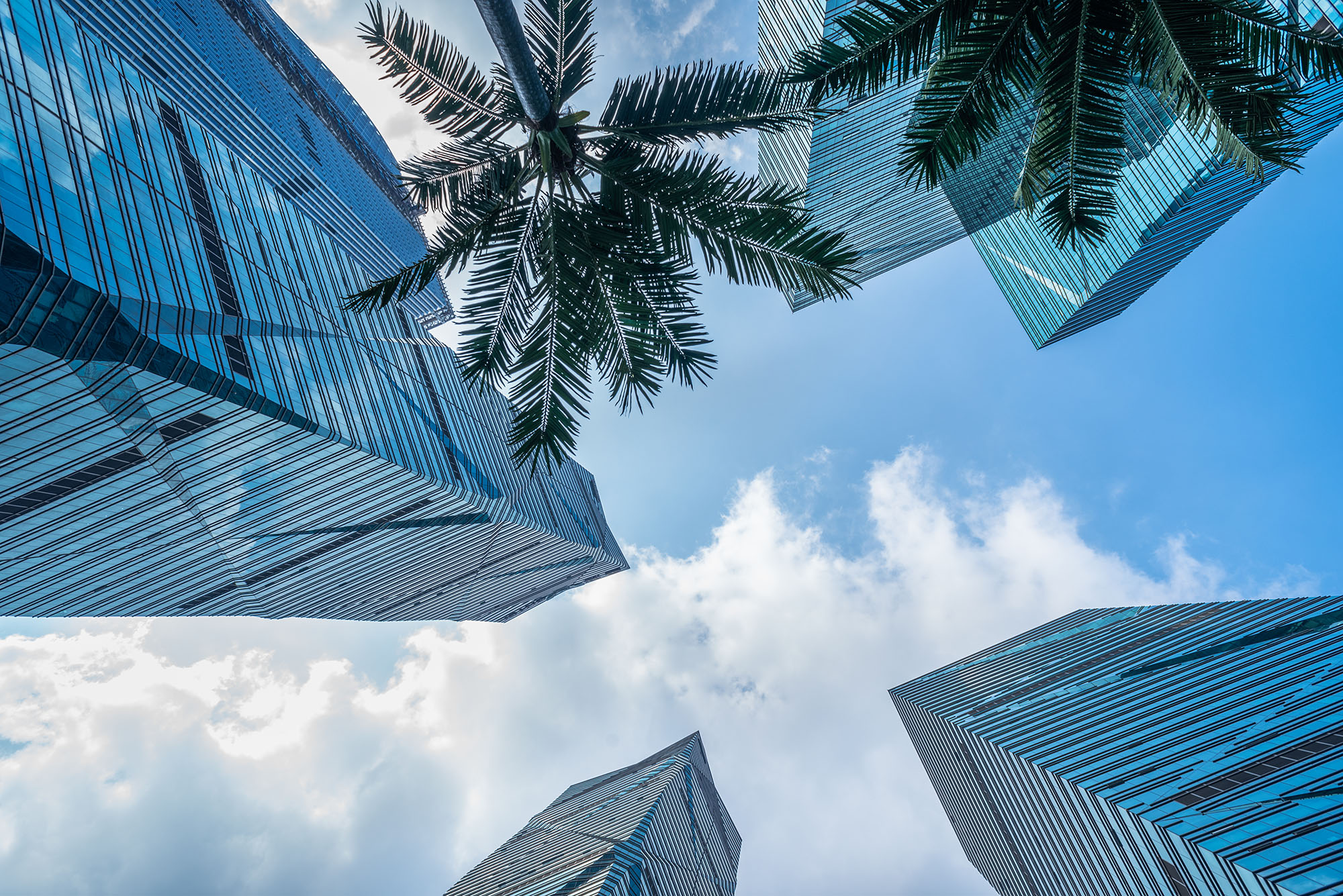 Skyscrapers from a low angle view in Shanghai,China.